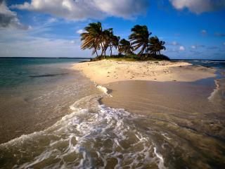 обои Небольшой островок с пальмами фото