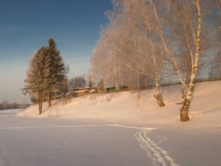 обои Зима на берегу реки фото