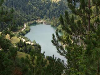 обои Озеро внизу и леса вокруг фото