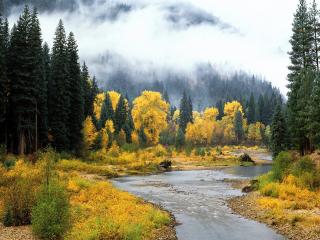 обои Осенние деревья на берегу речки и горы с лесом покрытые туманом фото