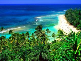 обои Тропический пляж фото