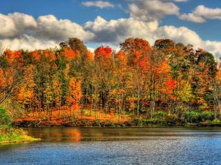 обои Осенние кроны деревьев на бeрегy фото
