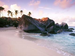 обои Камни,   песок и пальмы на берегy фото