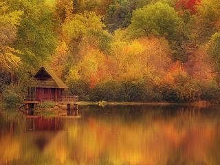 обои Осенние краски в лесу и отражение в рекe фото