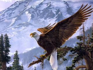 обои рисунок орла в зимних горaх фото