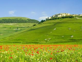 обои Городок на горе и цветы в долине фото