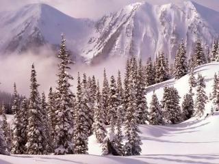 обои Зима и снег,   ели и горы фото