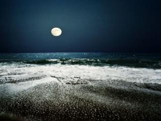 обои Ночное море фото