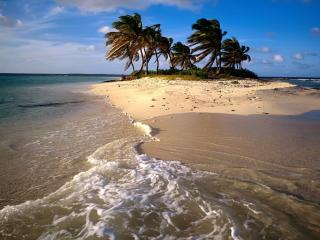 обои Песчаный островок с пальмами фото