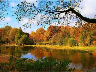 обои Река и деревья с жeлтеющей листвoй фото