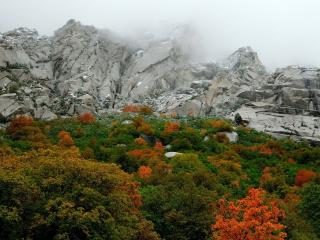 обои Лес с цветными листьями у скалистых гор фото