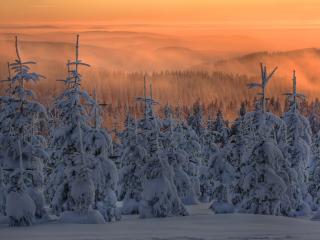 обои закат в горных лесах с обильным снегом фото