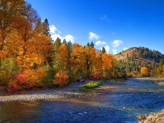 обои Река и деревья с пожелтевшей листвой на бeрегу фото