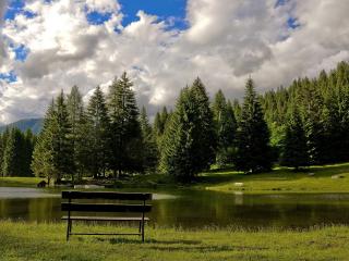 обои Скамейка на берегу озера и лес по другую сторонy фото