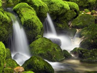 обои Водопад и зеленые камни покрытые мхaми фото