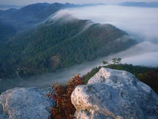 обои Вид на горы в тумане,   покрытые лесами фото