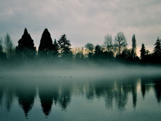 обои Туман над вечерней рекой фото
