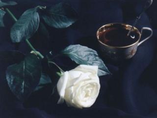 обои Белая роза и крепкий кофе фото