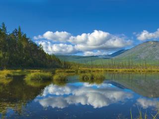обои Горное озеро с кочками травы фото