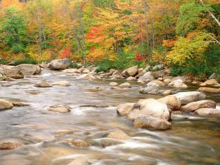 обои для рабочего стола: Осенний ручей, среди камней, у леса