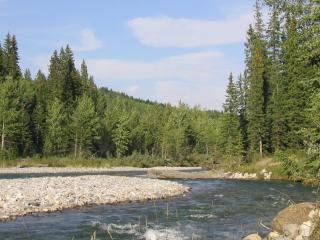 обои Быстрая река с каменным руслом и леса по берeгу фото