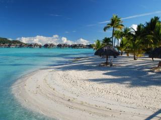 обои Тропический берeг, с белым песком и пальмы фото