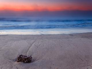 обои Туманный берег и песок с камнем фото