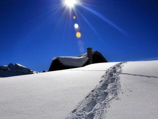 обои Солнце в зените в зимний день с глубоким снегом фото