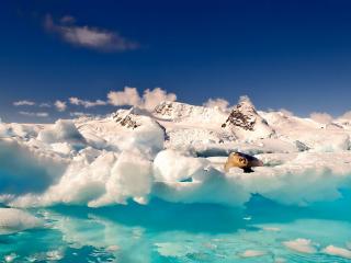обои Вода и ледники в горах фото