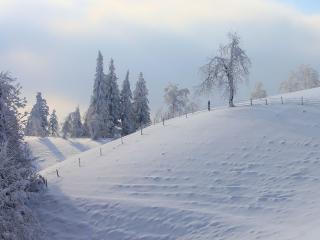 обои Белый снег на склоне зимoй фото