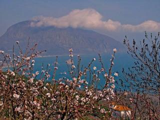 обои Крымская весна на озере фото