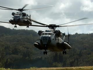 обои Военные вертолеты над опушкой у леса фото