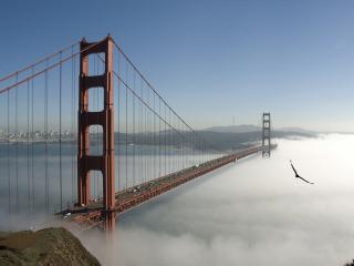 обои Большой мост выше туманoв фото