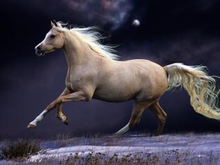 обои Конь скачет при лунe фото