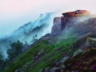 обои Крутые склоны с лесами и растениями в тумане фото