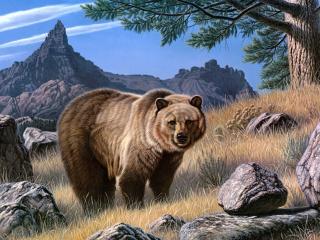 обои Рисунок большого ведмедя фото