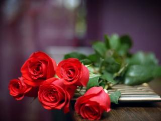 обои Розы на столе фото