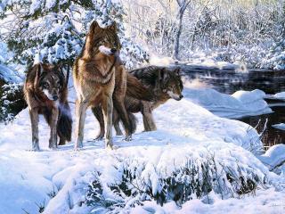 обои Нарисованные волки на заснеженном берегу реки фото