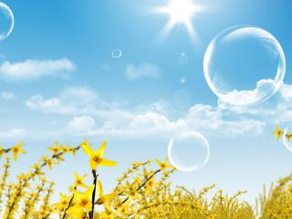 обои Пузыри над кустарниками с желтым цветом фото