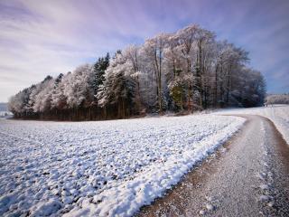 обои Дорога у вспаханого поля припорошеного снегoм фото