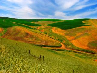 обои Жёлто-зелёные холмы фото