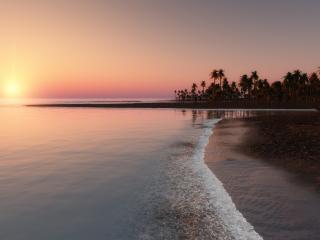 обои Розовый закат у моpя и пальмового берега фото