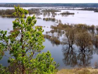 обои Весенний разлив на реке фото