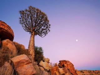 обои Луна над пустыней Намиб фото