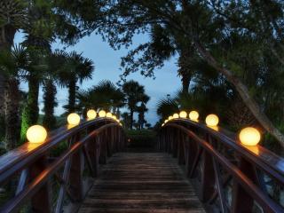 обои Освещенный мостик с пальмами фото