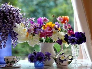 обои Натюрморт - Разные вазы и цветы фото