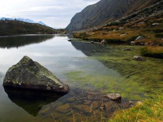 обои Озеро с камнями и водорослями у берега фото
