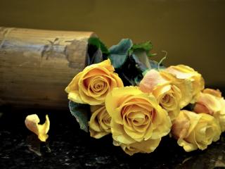 обои Перевернутые желтые розы фото