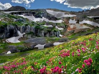 обои Опушки цветочные в невысоких горах фото