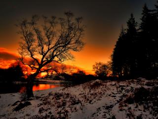 обои Красивый зимний закат на окраине леса,   у реки фото